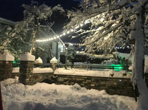 Отель Garden Hotel  пасанаури